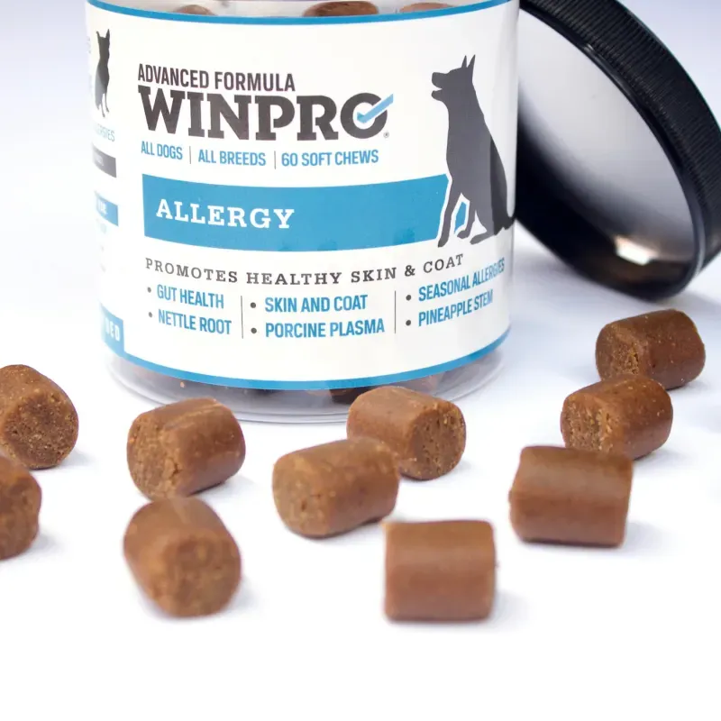 WINPRO y su éxito con el Direct Mail